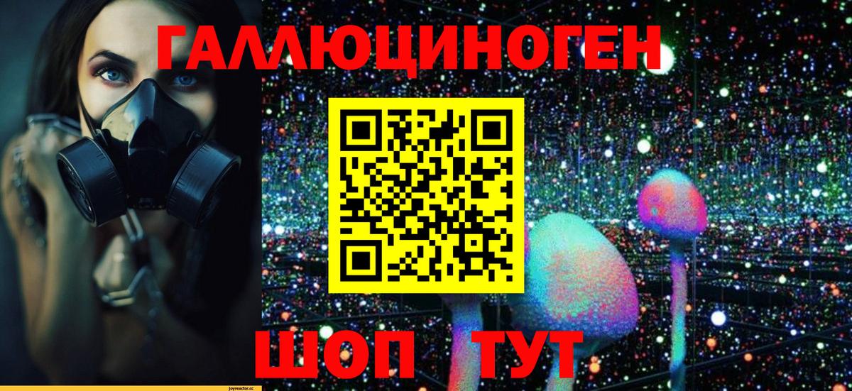 Псилоцибиновые грибы GOLDEN TEACHER Туапсе